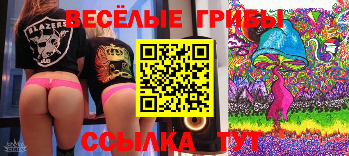 Галлюциногенные грибы Psilocybine cubensis  Галлюциногенные грибы ЛСД  Дубна  Вход с VPN 